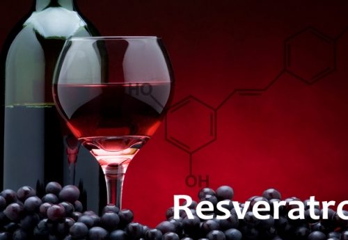 What is RESVERATROL?